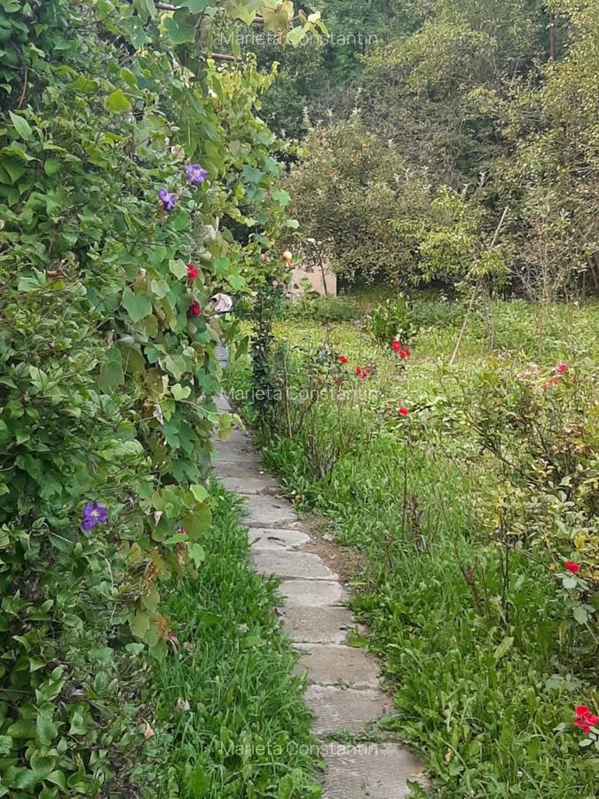 Casa de vanzare sat Carbune?ti, jud. Prahova - 5