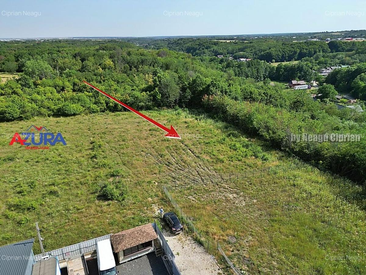 AZURA Imobiliare - Vanzare teren Smeura, zona verde - 7