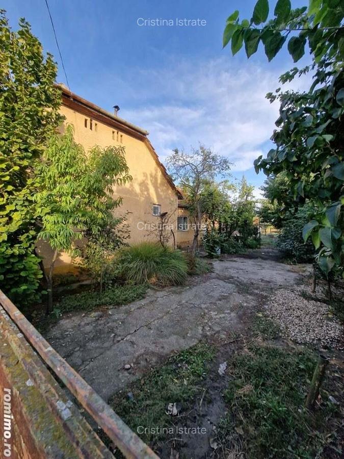 Sanmartinu Sarbesc- Casa individuala- 1370 mp teren - 5 Sanmartinu Sarbesc- Casa individuala- 1370 mp teren - 5