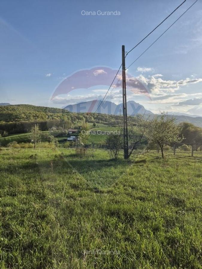 Teren Construcții intravilan de 11600 mp, în Poiana Mărului - 14