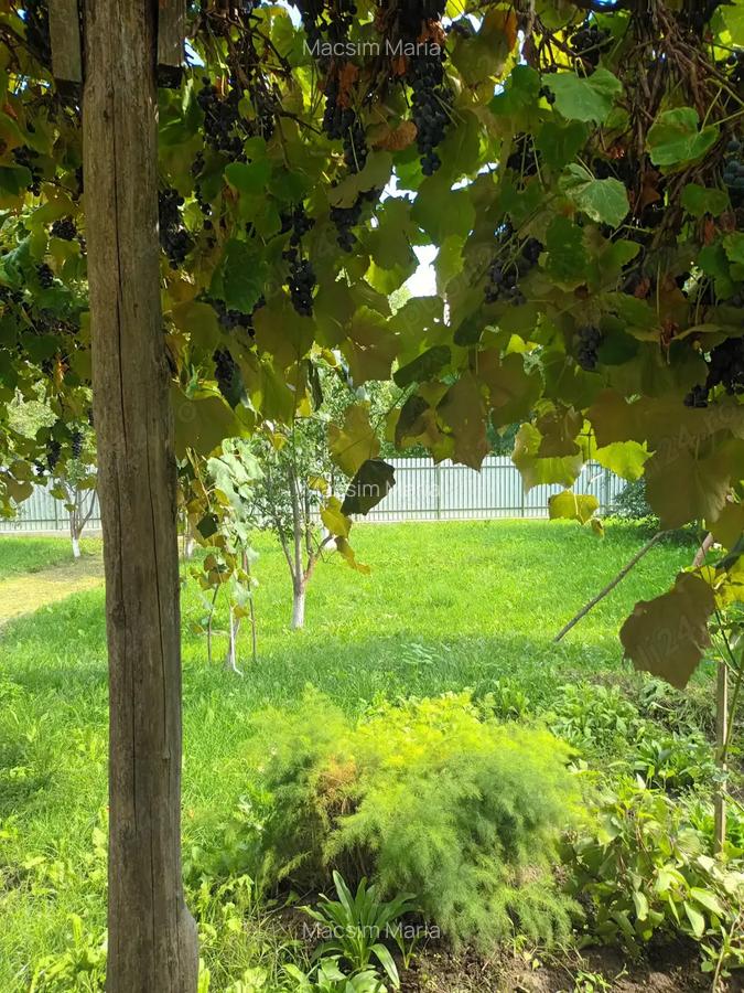 Vand casa loc.Stefan cel Mare - 3