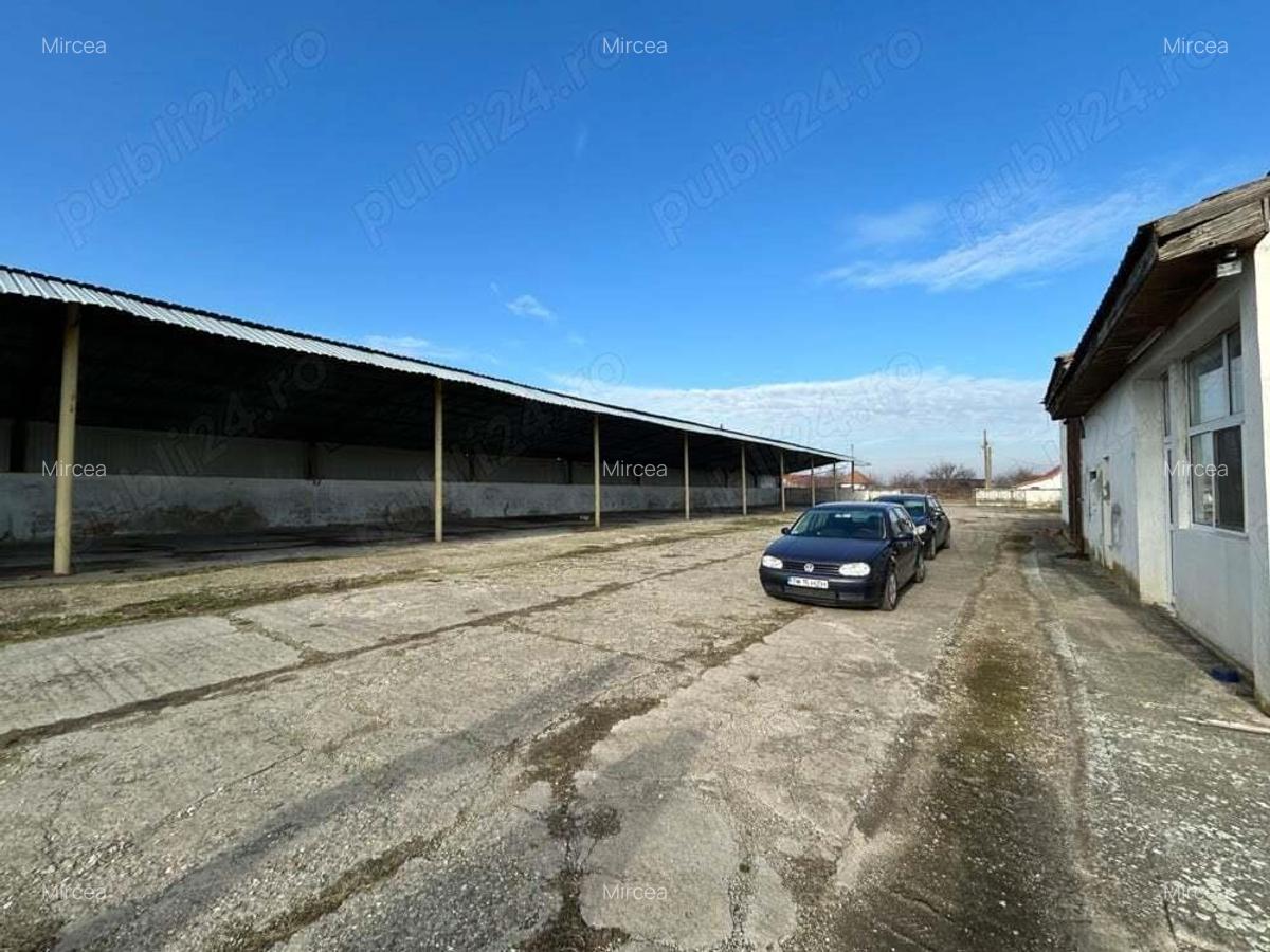 Vand teren intravilan,zona industriala,st.16,8 ha. + 8 ha.agricol,in Sanicolau Mare, la DN6,la sosea - 12
