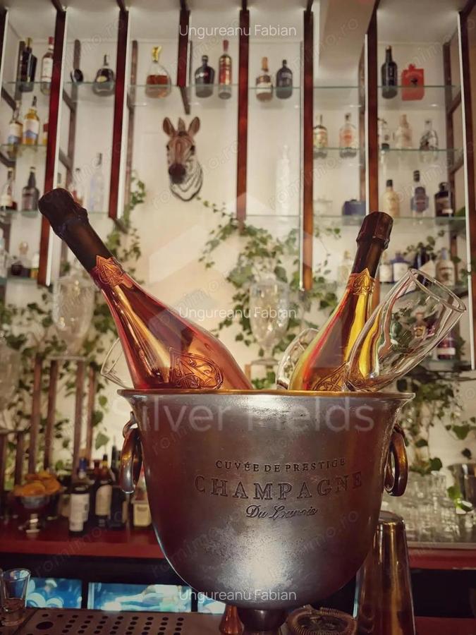 Se vinde sau inchiriaza Bar-Restaurant la cheie | Piata Unirii - 15