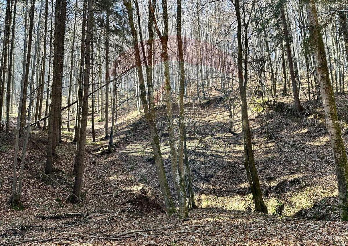 Teren de vanzare 53,723mp Codlea / Nord-Vest - 7