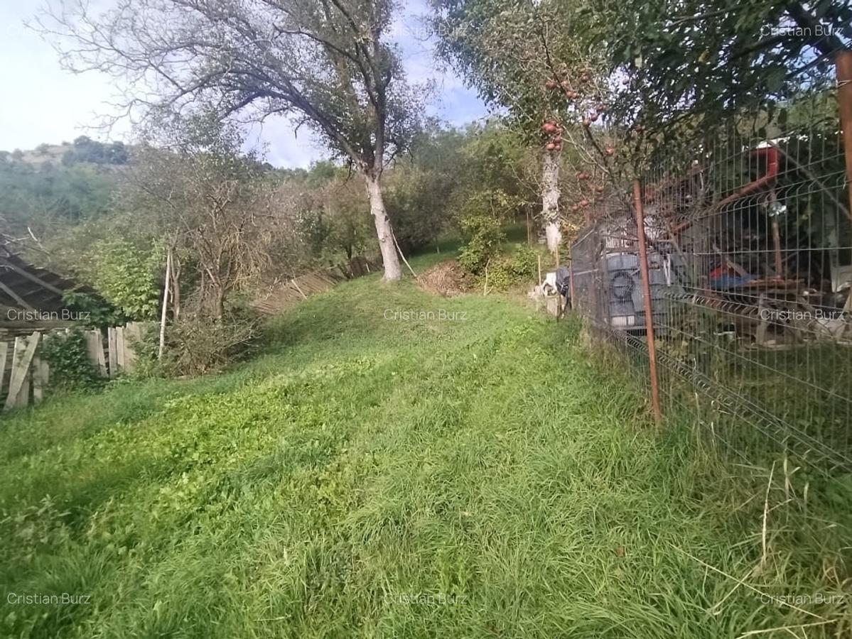 Casa individuala Tauti, teren 650mp - 4 Casa individuala Tauti, teren 650mp - 4