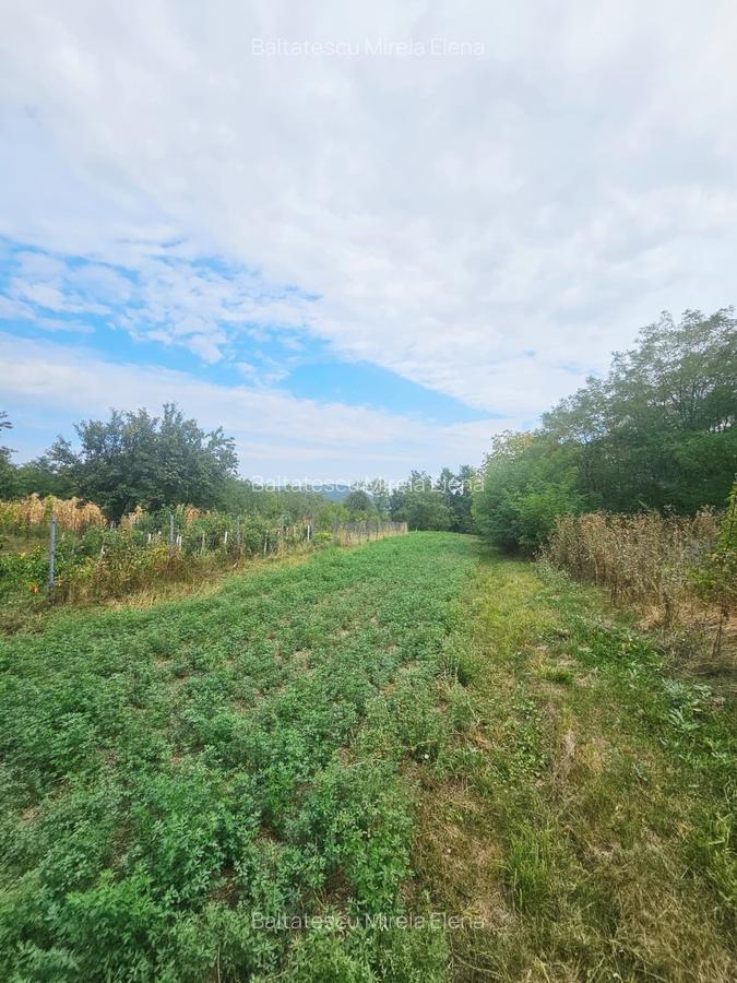 Teren intravilan, cu priveliște– Vălenii de Munte - 14