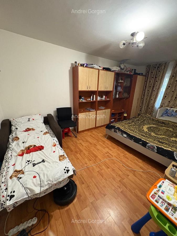 Apartament cu 2 camere Podu de Fier - Prof. Paul - 4