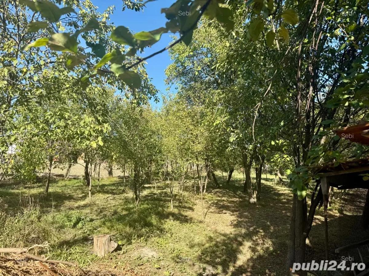 De vanzare casa in comuna TATARANI JUD Dambovita - 3