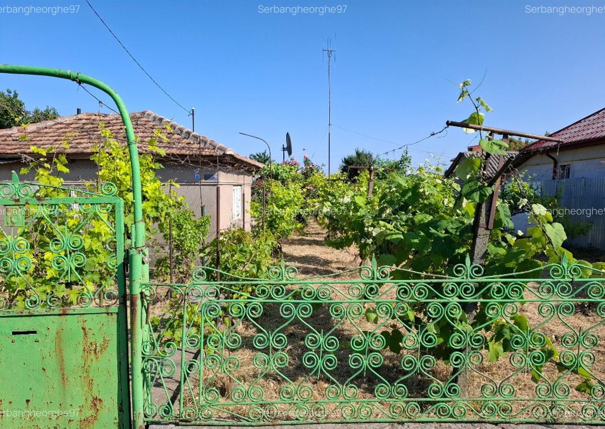 Teren intravilan, 536 mp, cu casa demolabila, oras Ovidiu - 2
