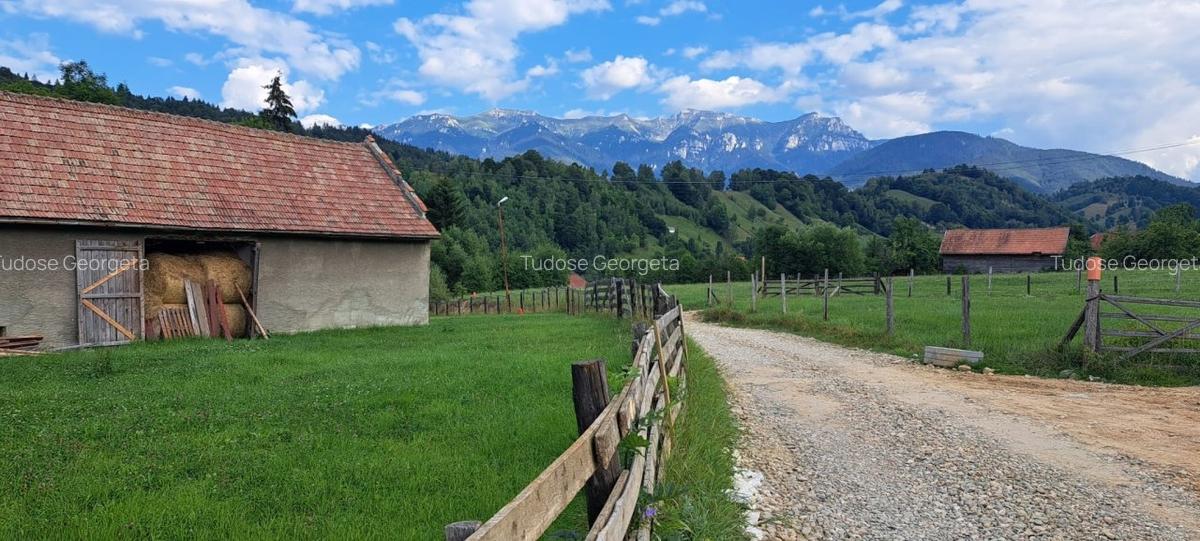 Pensiune - Moeciu de Jos - sat Simon - D+P+ 2 etaje+ M - 6