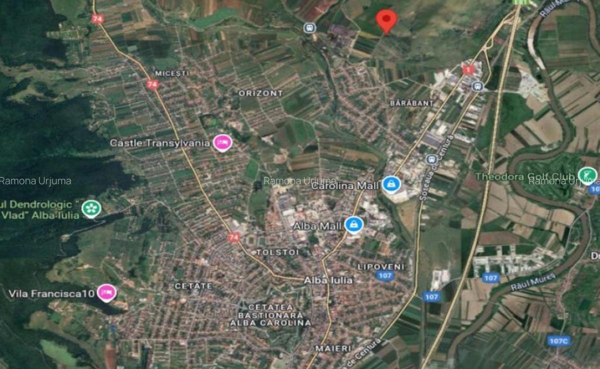 Cota de 3/8 din teren extravilan 5000 mp, Alba-Iulia, Jud... - 7