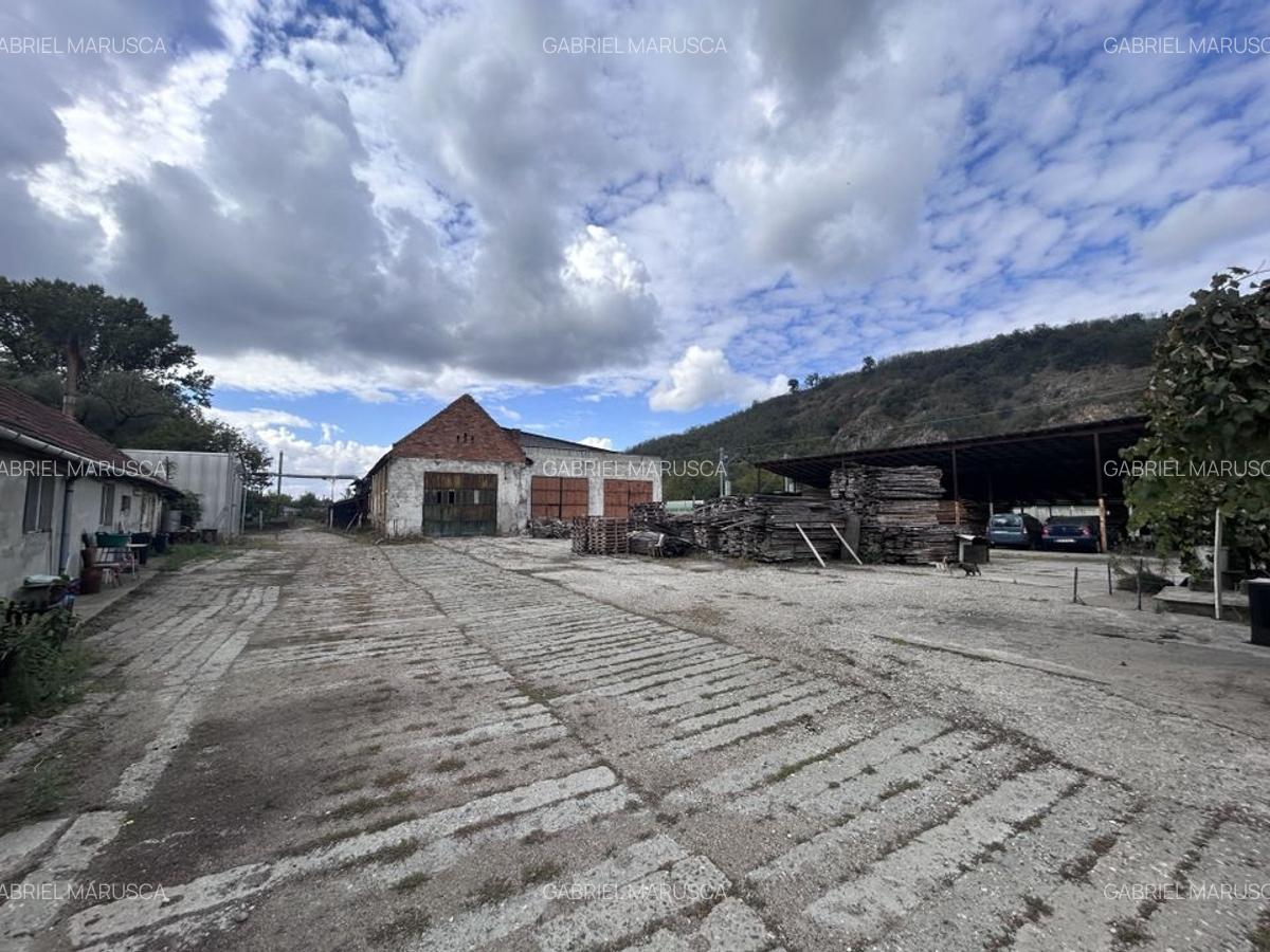 Fabrica prelucrare lemn de vanzare - Lipova, Arad - 1