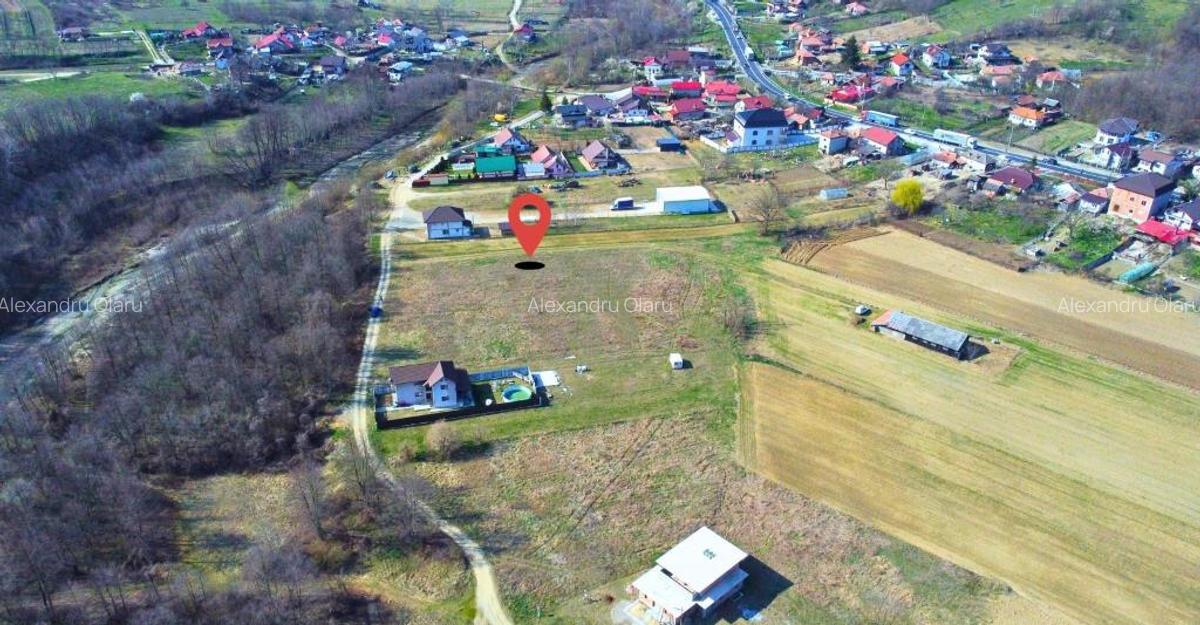 BUDESTI - TEREN 2550 MP - 2