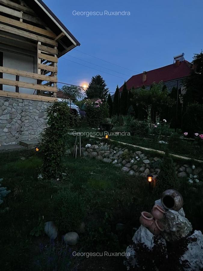 Casa individaual renovata, curte amenjata Boteni de Arges - 9