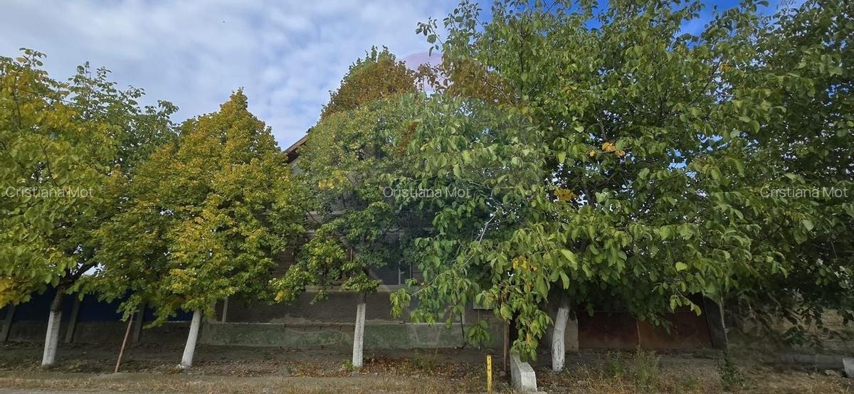 Teren si casa cu teren generos in Socodor - 11 Teren si casa cu teren generos in Socodor - 11