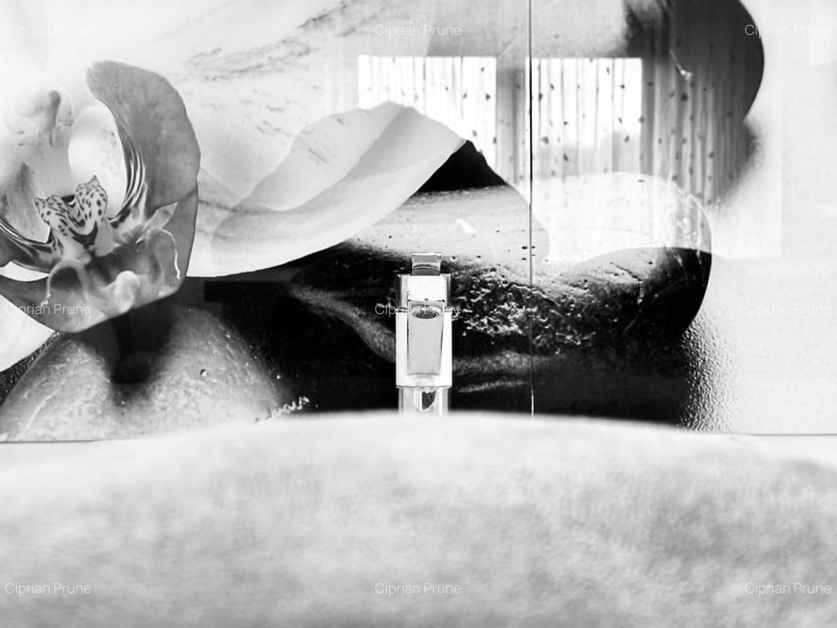 Apartament modern, Kaufland- Vedere spre Padurea Verde | Parcare - 24