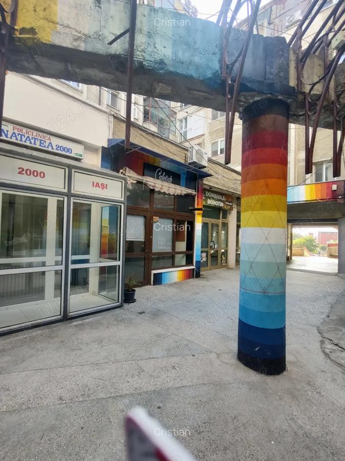 Spatiu comercial, 30 mp, str. Lapusneanu. - 2