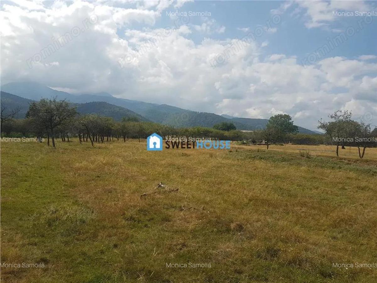 Teren de vanzare in Sambata de Sus - 2