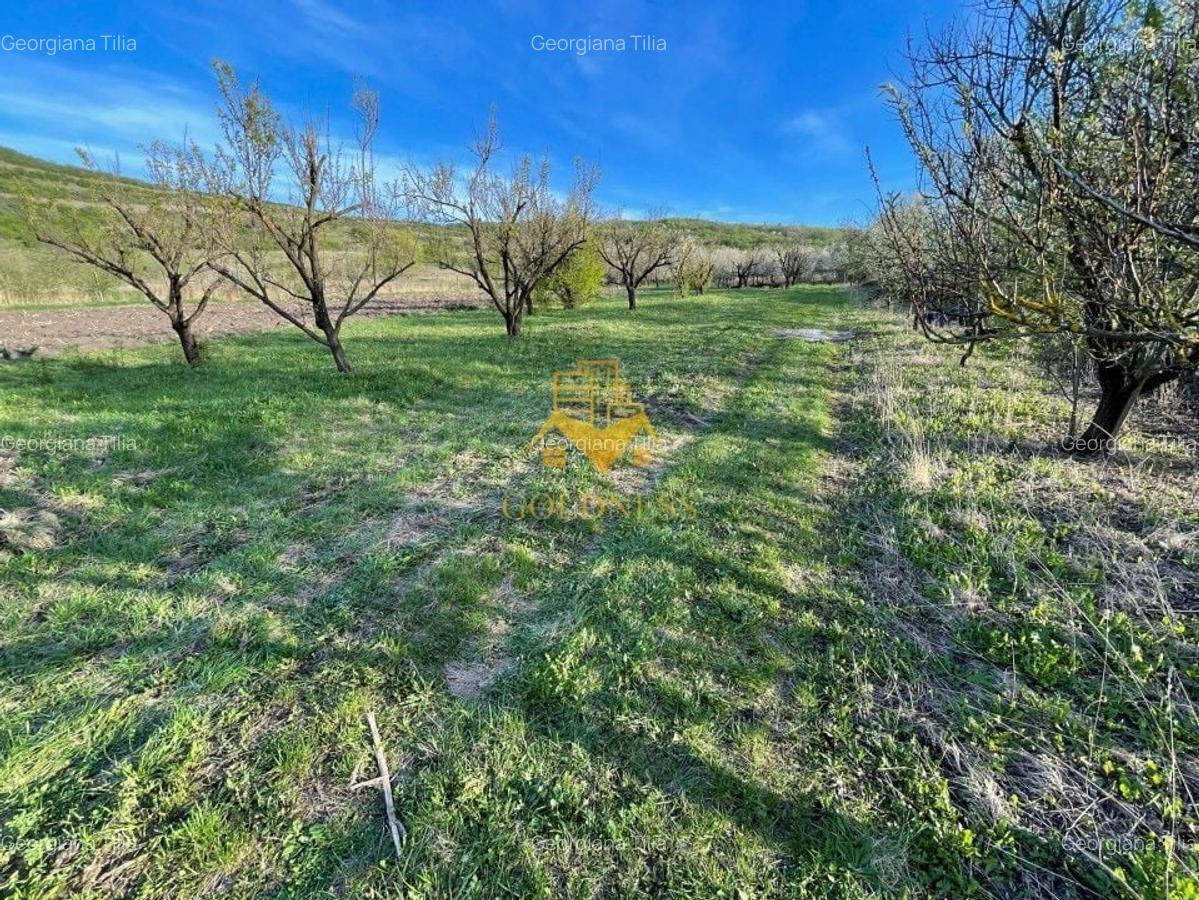 Teren agricol intravilan de 5500 mp, în Sopor - 7