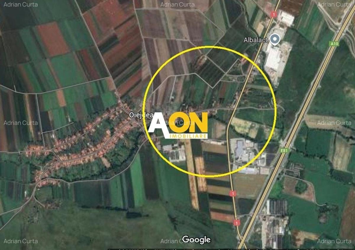 Teren Construcții intravilan de 5800 mp, în Oiejdea - 2