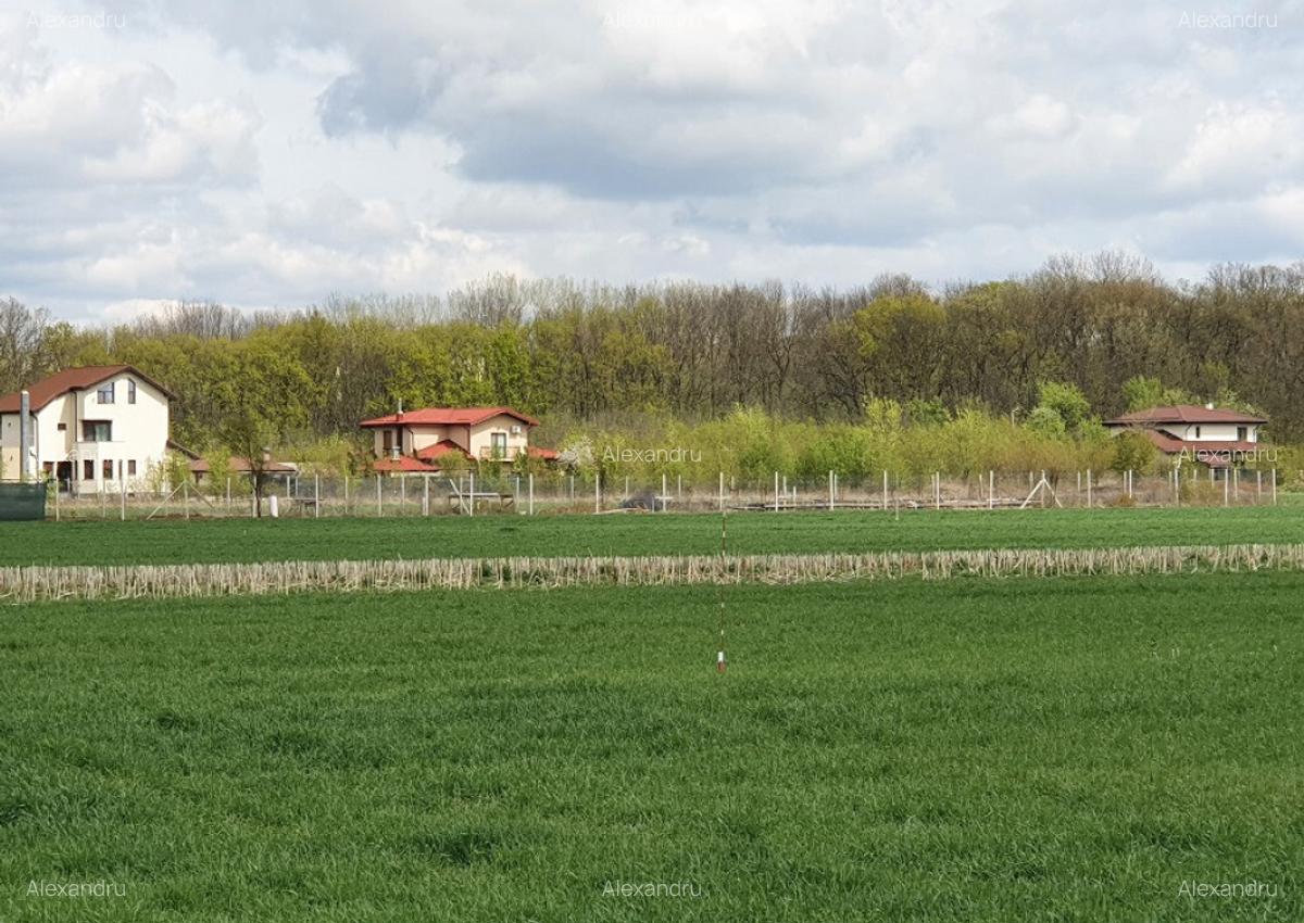 Teren langa padure si utilitati,800 mp,37000 euro - 8