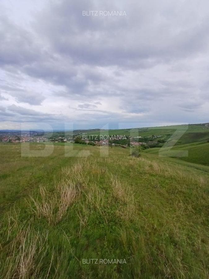 Teren extravilan 1248 mp in Copaceni! Oportunitate investitie! - 2