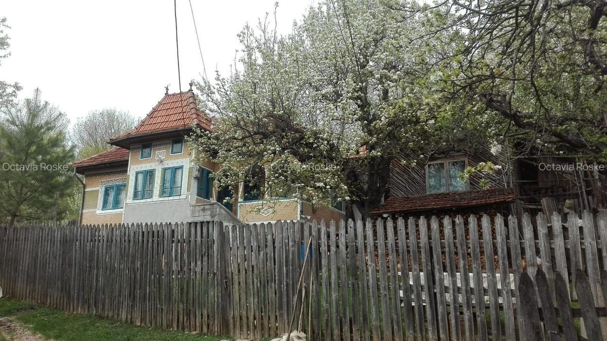VAND CASA BATRANEASCA, 3,1 HA IN JURUL CASEI, COM.CETATENI - 3