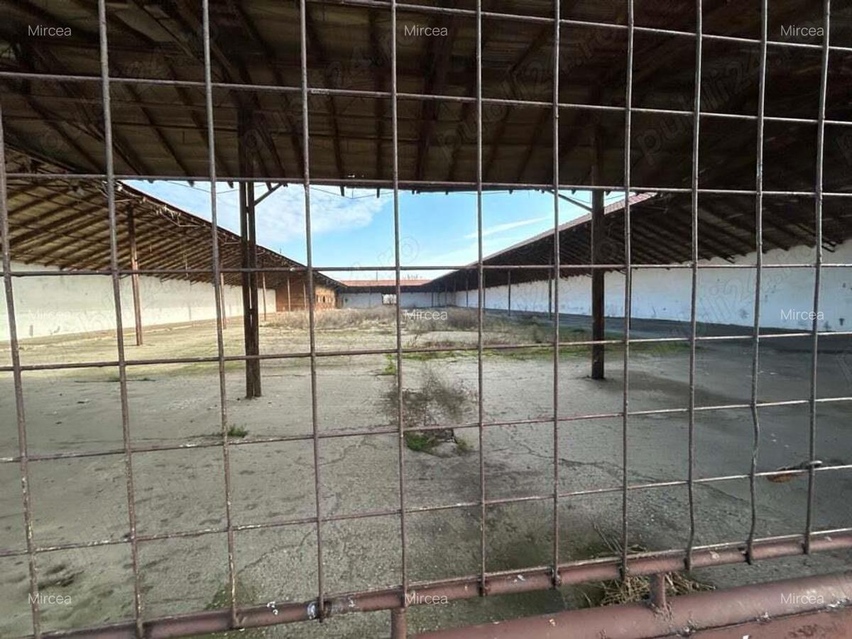Vand teren intravilan,zona industriala,st.16,8 ha. + 8 ha.agricol,in Sanicolau Mare, la DN6,la sosea - 15