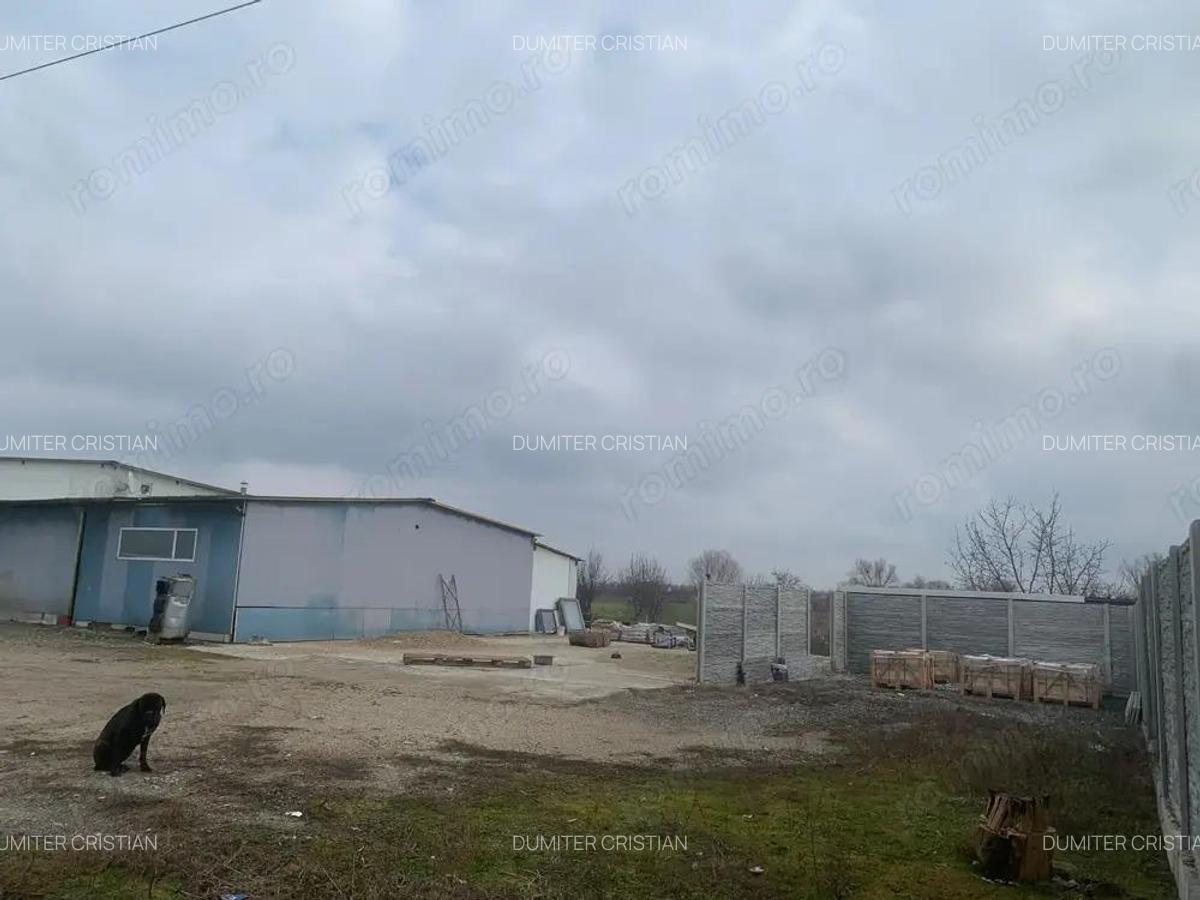 Inchiriez hala la 10 km de Timisoara! - 6