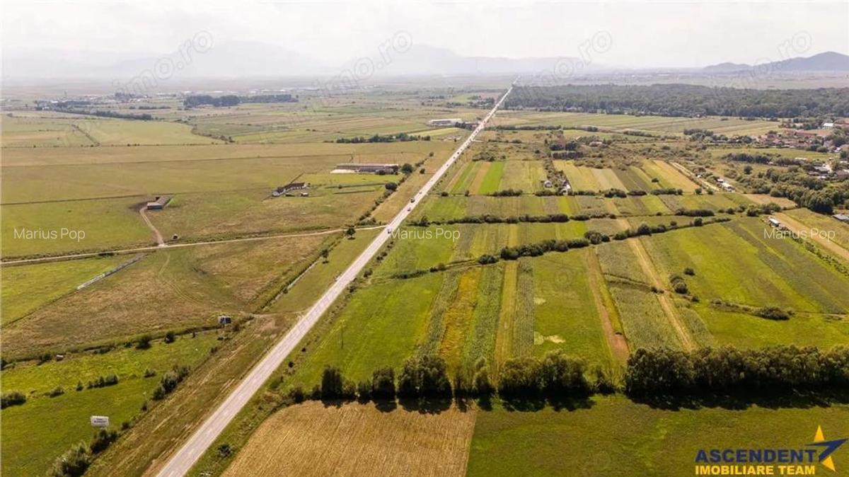 Teren extravilan Lunca Calnicului langa E574 - 4