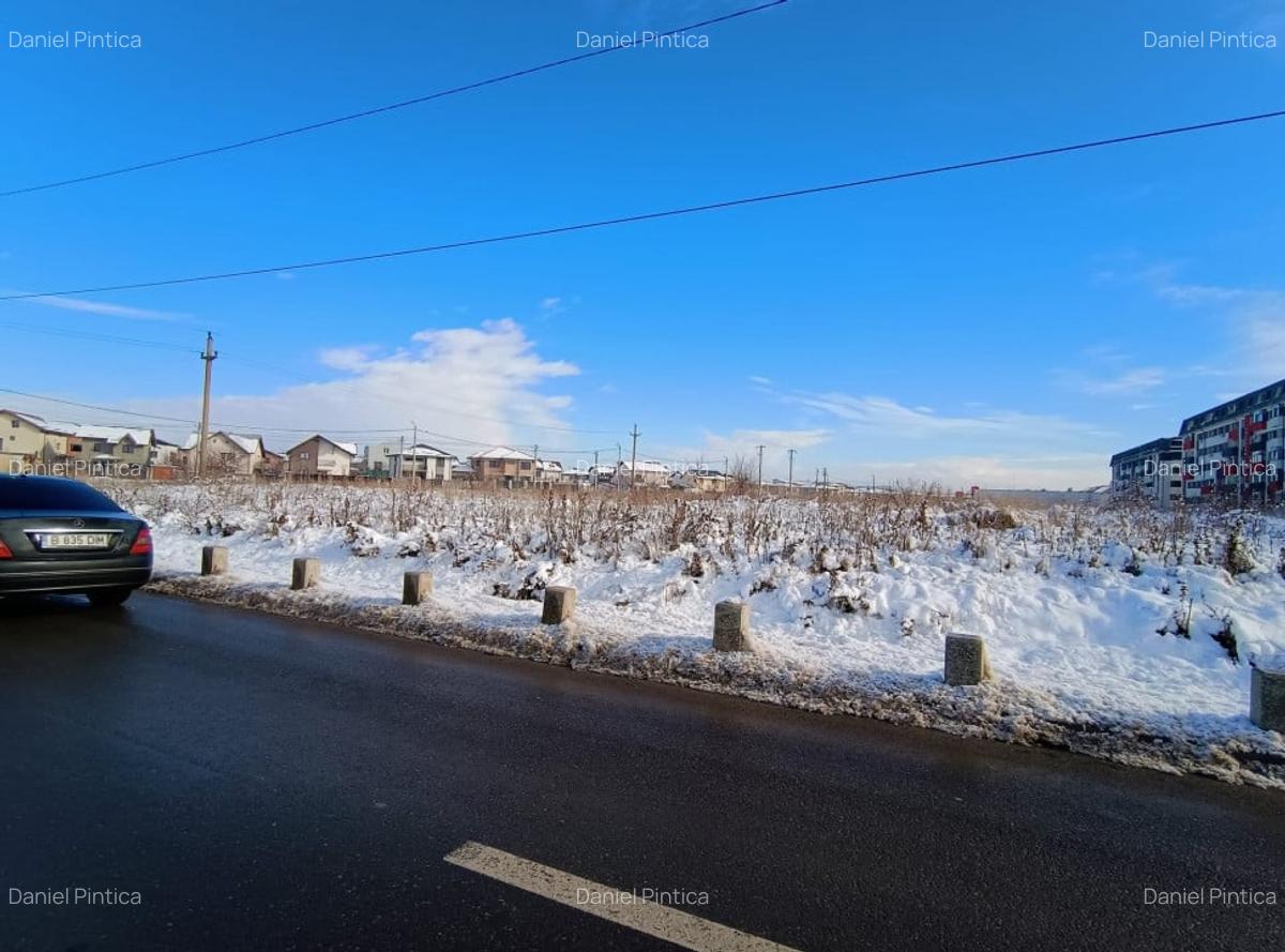 Teren de vanzare sau inchiriere Chiajna/ perfect pentru casa - 3