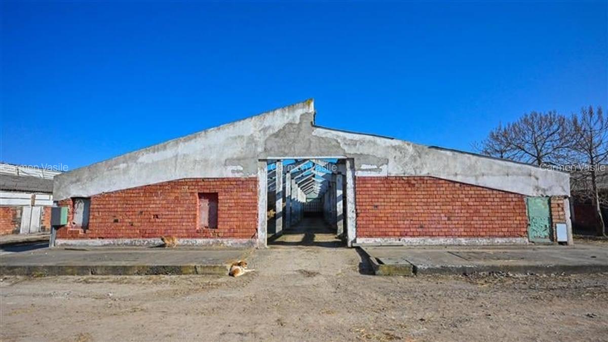 FILM! Complex agrozootehnic cu traditie, echipat + pretios potential multiplu, C - 35