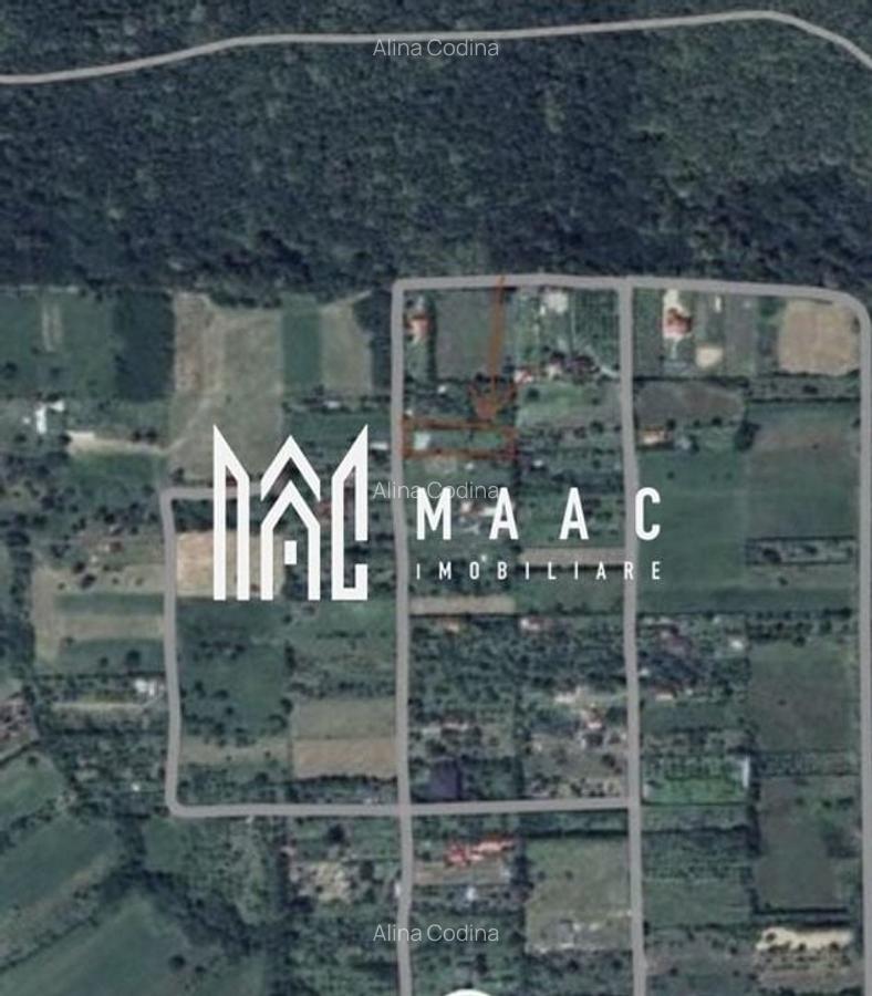 Teren | 1110MPU | Intravilan | Tropinii Noi - 2