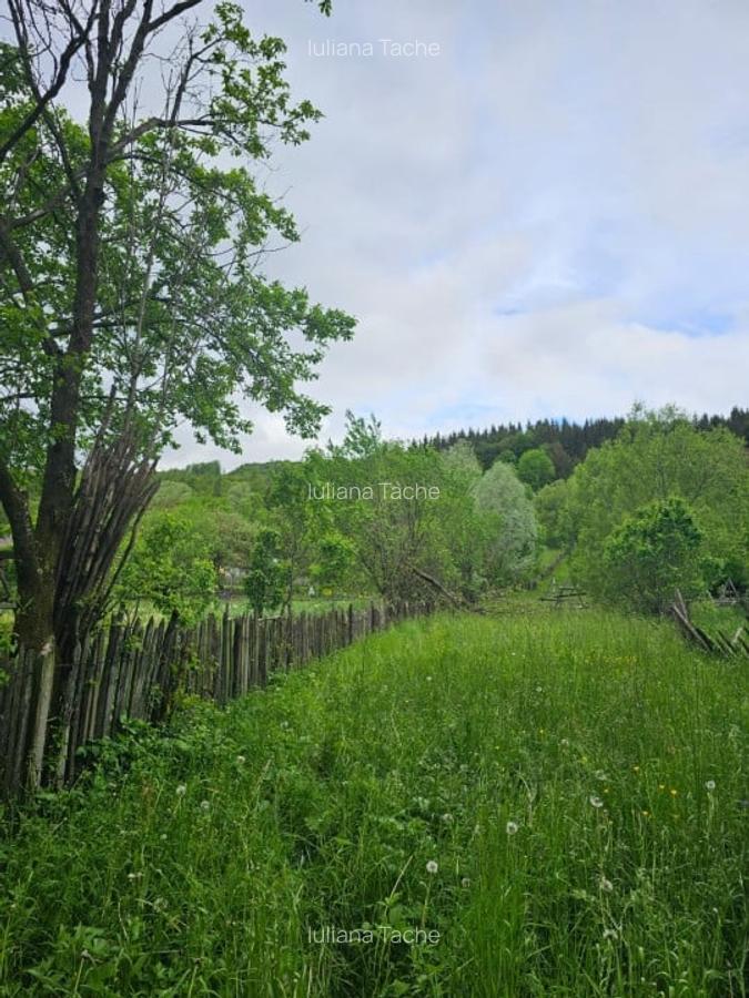 Teren Construcții intravilan de 1660 mp, în Valea Doftanei - 3