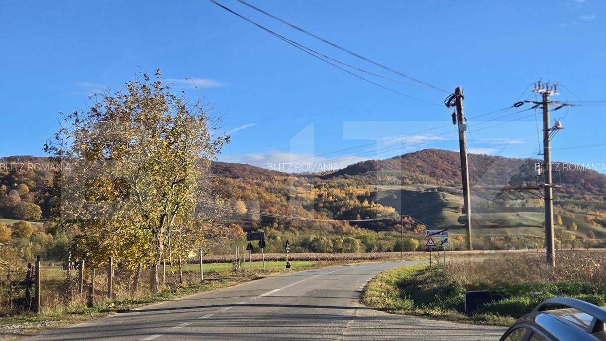 Complex turistic de 5 cabane,3100 mp teren,Transalpina Super pret!! - 7