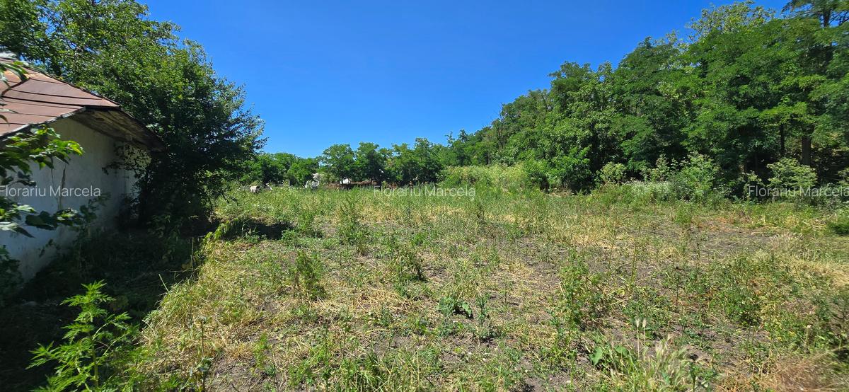 Casa batraneasca cu 4260mp teren la Costesti - 2