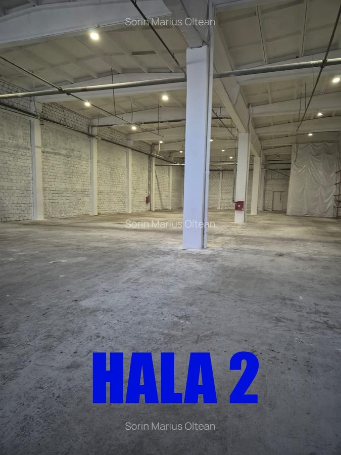 Hale de închiriat - 1