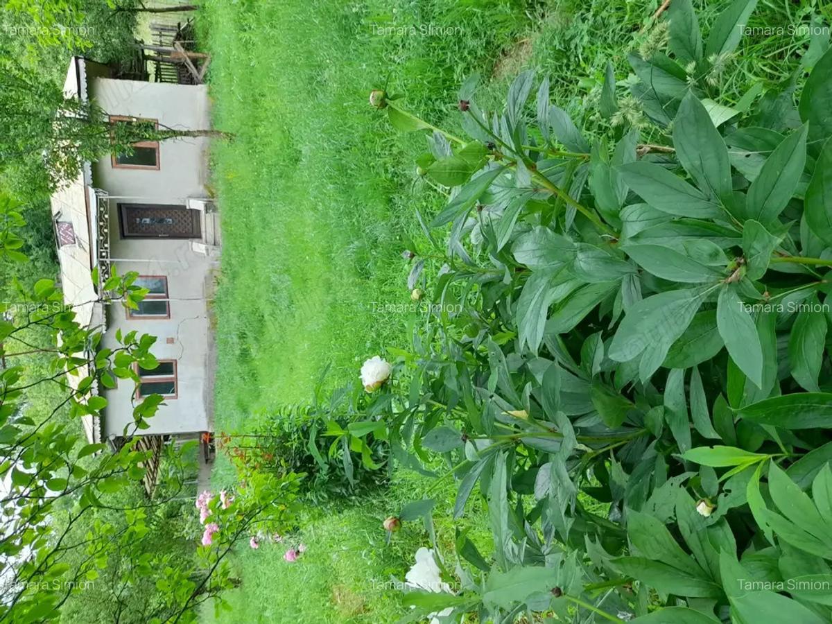 Inchiriere curte 12000m2 pa?une plus casa cu utilita?i minime - 1