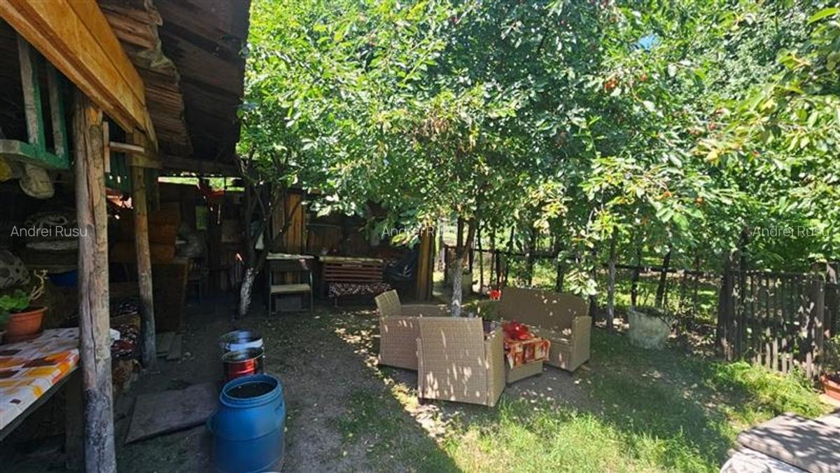 Casă individuală cu 2 camere în Central - 2