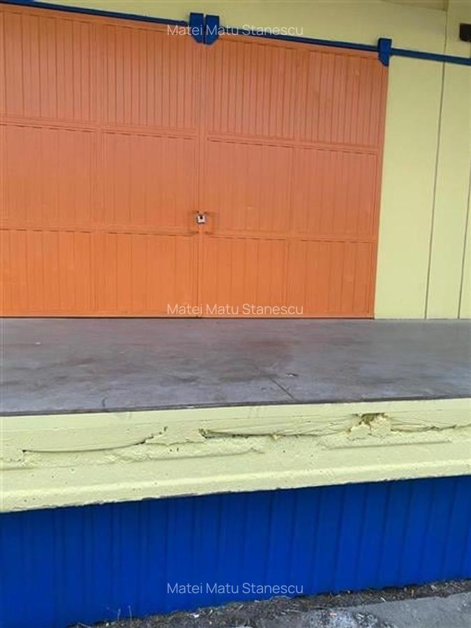 Spațiu industrial, 1040 mp în Șagului - 7
