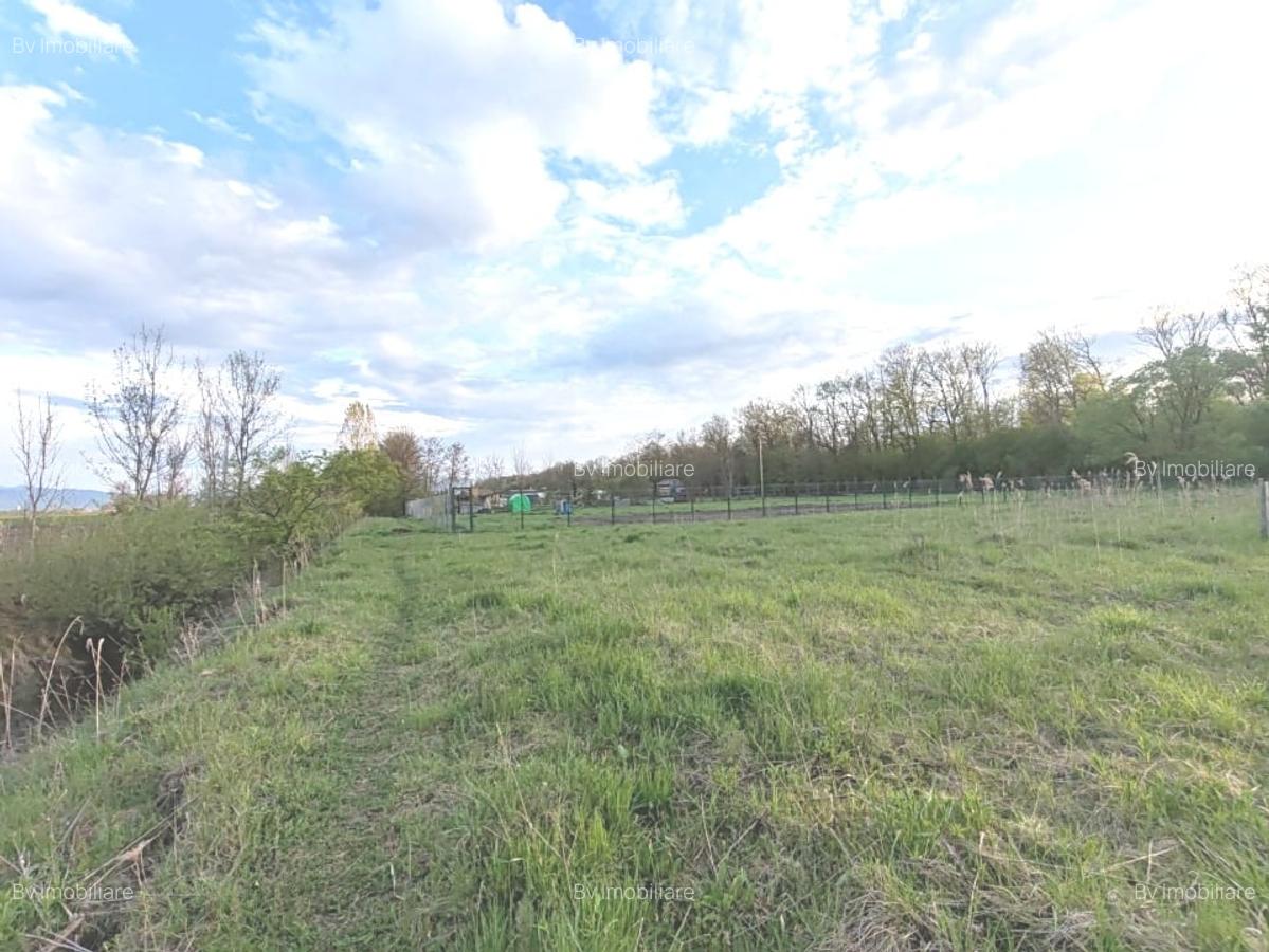 Teren ideal pentru casa de vacanta sau locuinta permanenta, la marginea padurii - 2