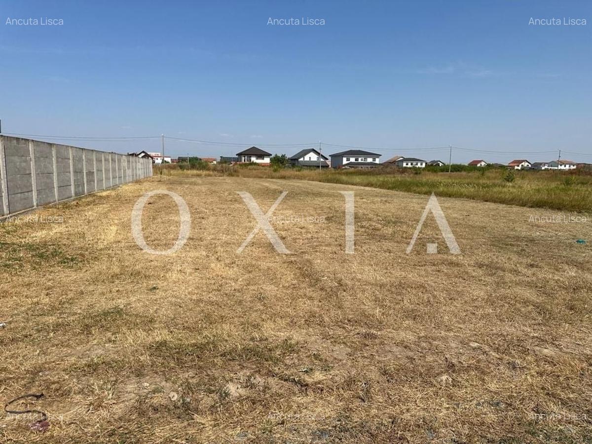 BX110 Teren Mosnita Noua-Front 19 m-Utilitati - 1