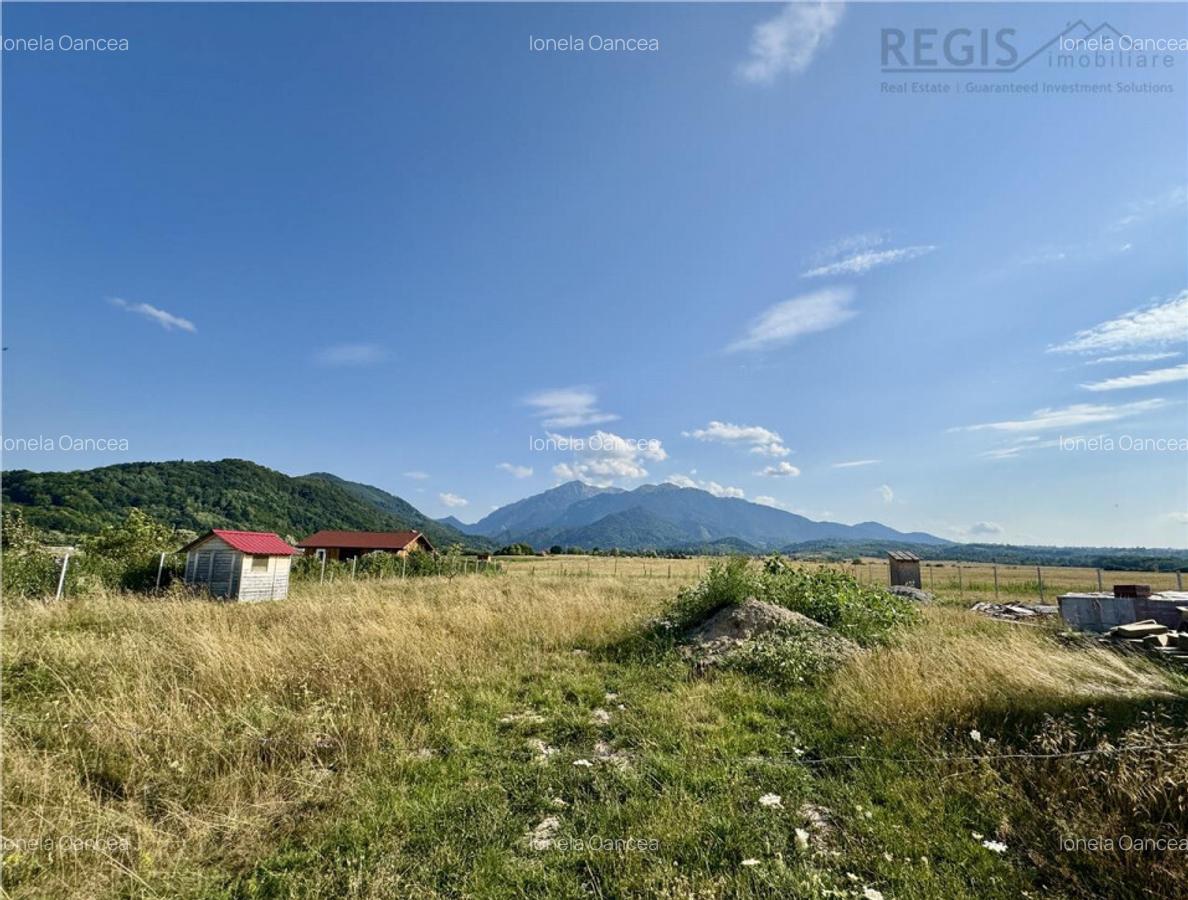 Teren, intravilan, locatie superba - 2