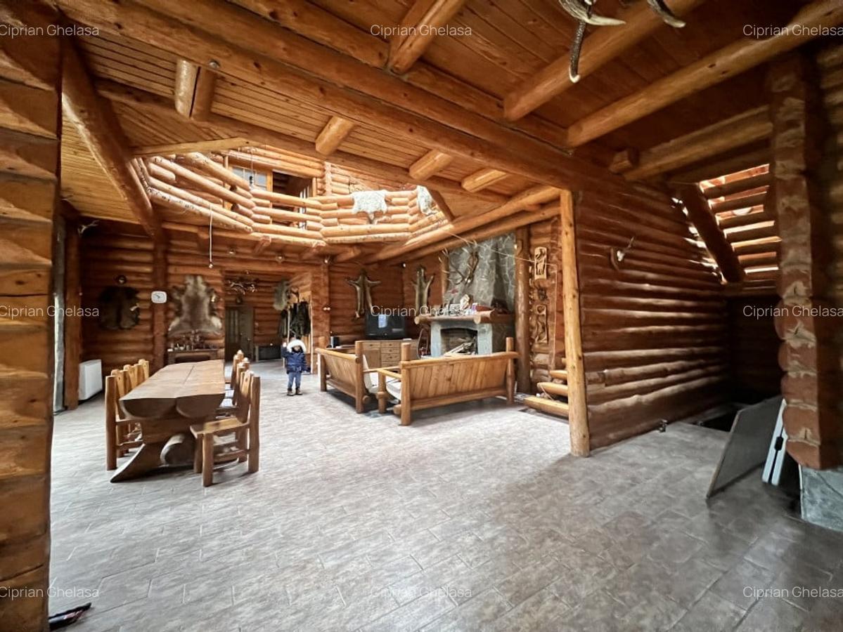 Cabana vanatoreasca din lemn cu vedere spectaculoasa, langa Castelul Cantacuzino - 10