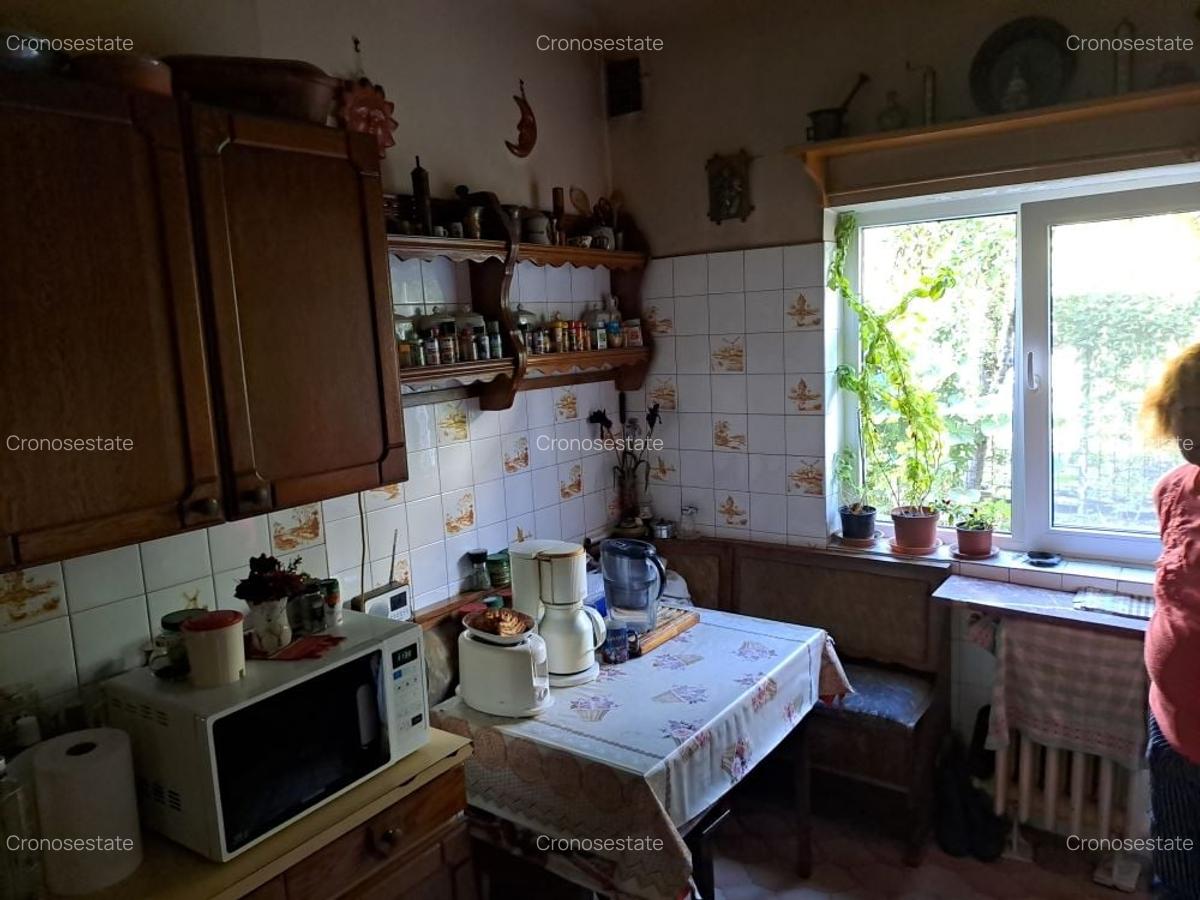 Cotroceni-Parcul Romniceanu, singur curte, garaj, curte generoasa - 16