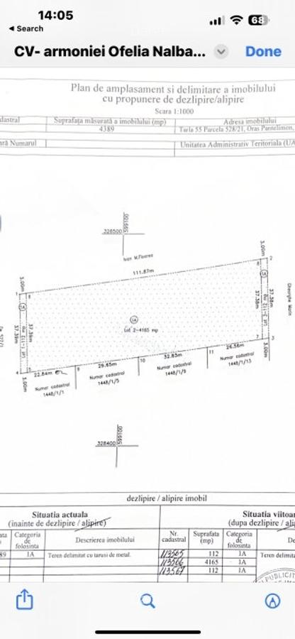 Teren cu potential - 3