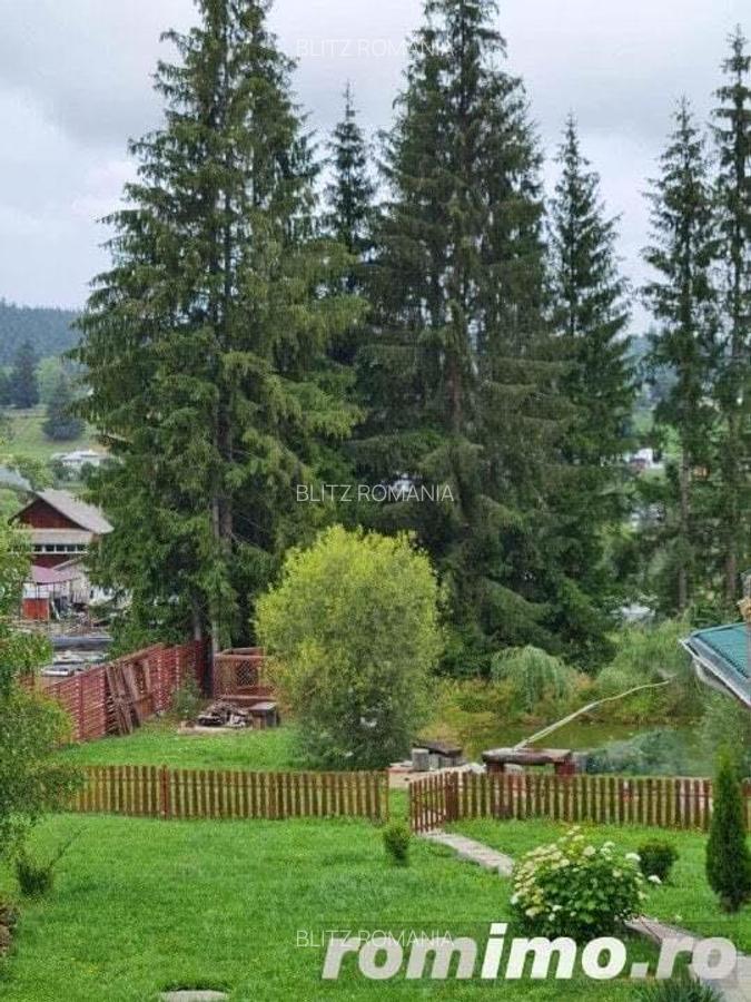 Domeniu situat la poalele Calimanilor - 15