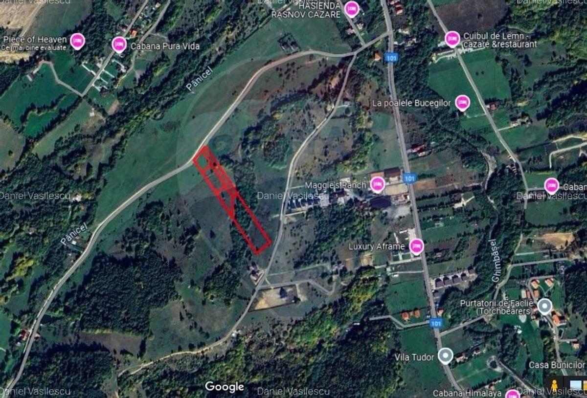 Teren Rasnov, Valea Panicelului 4253mp, izvor pe teren - 7
