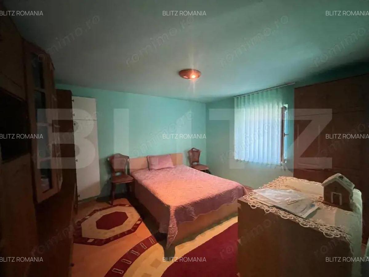 Proprietate formata din doua case si 1087 mp teren, zona Carcea - 9