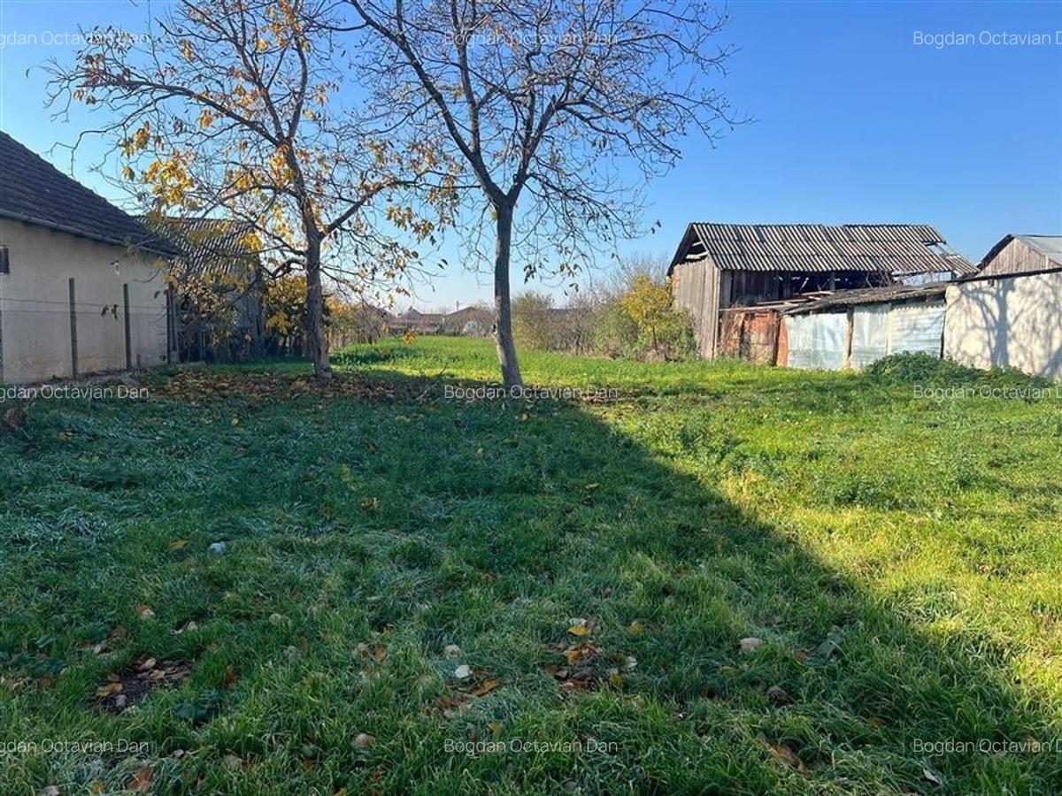 RECO Teren Unicat Sosea Nojorid - 6